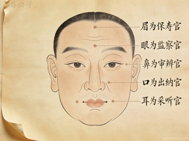 古籍书页风格的传统面相图谱,五官标注配书法注释文字