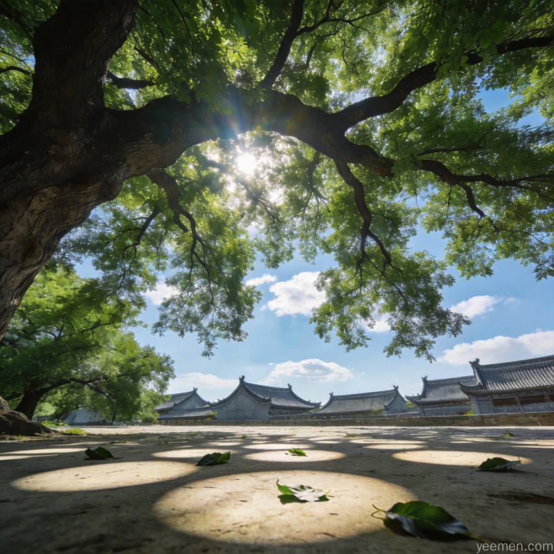 夏日大树下阳光透过浓密树叶洒下斑驳光影，远处可见传统建筑飞檐宁静悠然